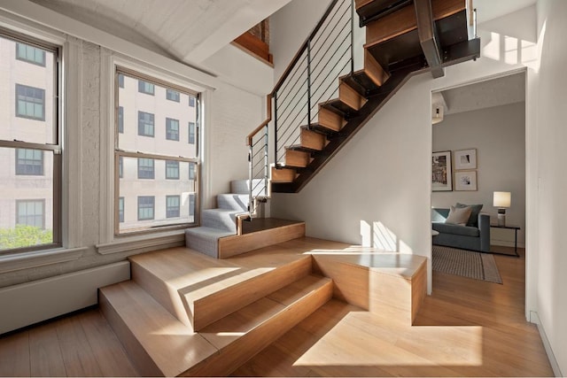 stairway with hardwood / wood-style floors