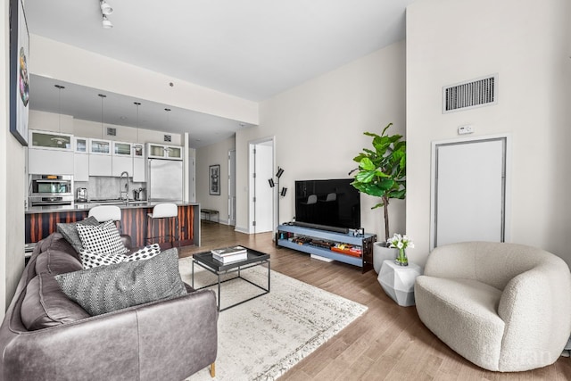 living room featuring sink and wood-type flooring