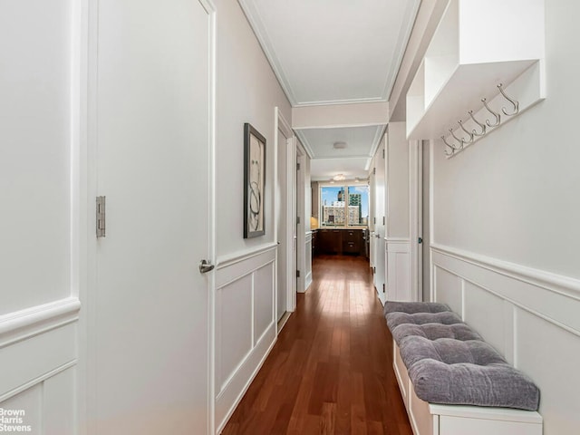 hall featuring crown molding, a wainscoted wall, dark wood finished floors, and a decorative wall