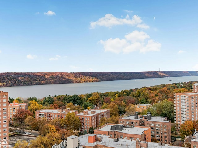 water view with a wooded view