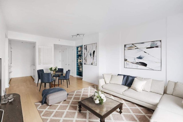 living area featuring light wood-style flooring and rail lighting