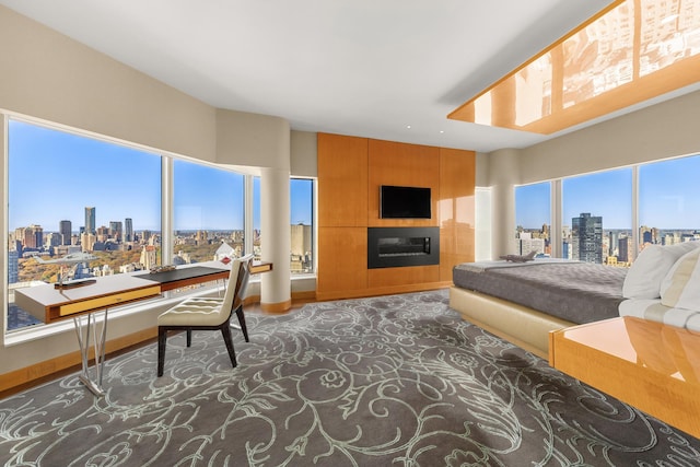 living room featuring a city view and a fireplace