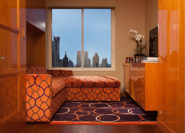 bedroom featuring dark wood-type flooring and a city view