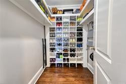 walk in closet featuring dark hardwood / wood-style flooring