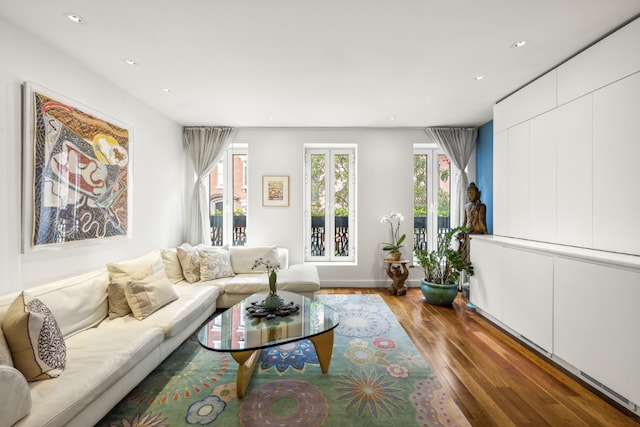 living room featuring dark hardwood / wood-style floors