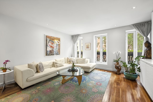 living room featuring hardwood / wood-style flooring