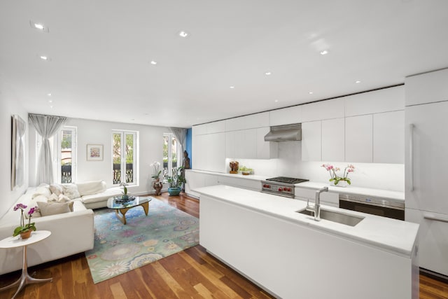 living room with dark hardwood / wood-style floors and sink