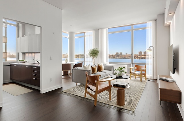 living room with floor to ceiling windows, dark hardwood / wood-style floors, and sink