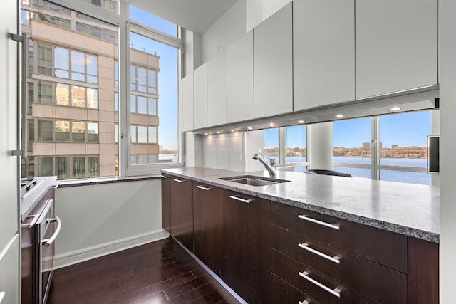 kitchen with dark brown cabinetry, sink, dark hardwood / wood-style floors, and a water view