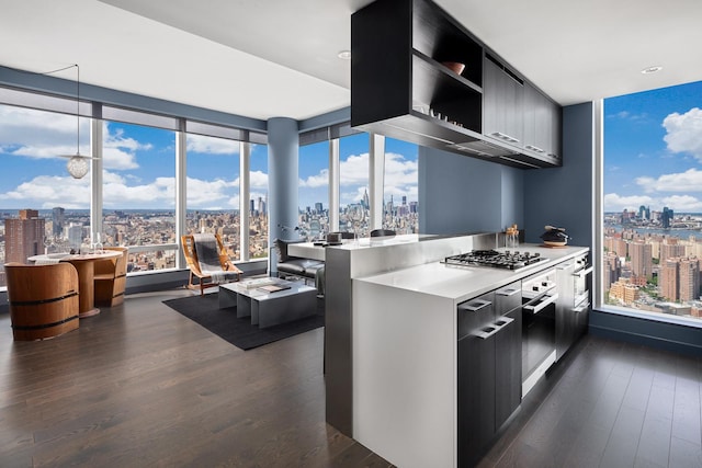 kitchen featuring appliances with stainless steel finishes, a city view, open shelves, and modern cabinets