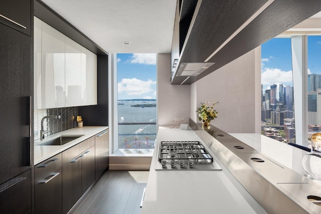 kitchen featuring sink, hardwood / wood-style flooring, a water view, tasteful backsplash, and stainless steel gas stovetop