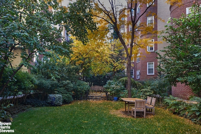 35-24 78th St Unit A67, New York City, NY 11372 - view of grassy yard