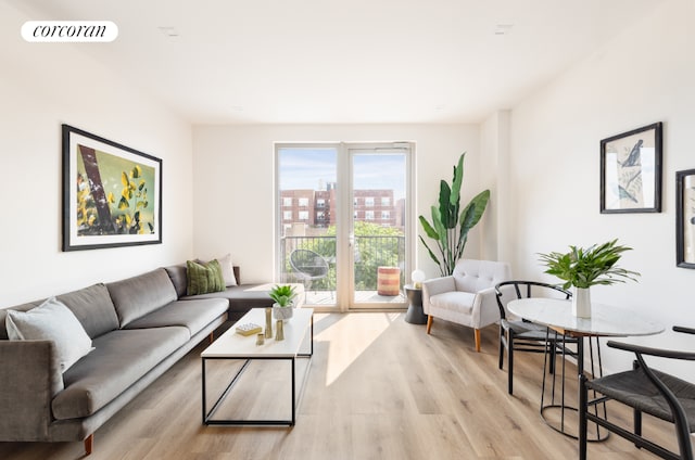 living room featuring light hardwood / wood-style flooring