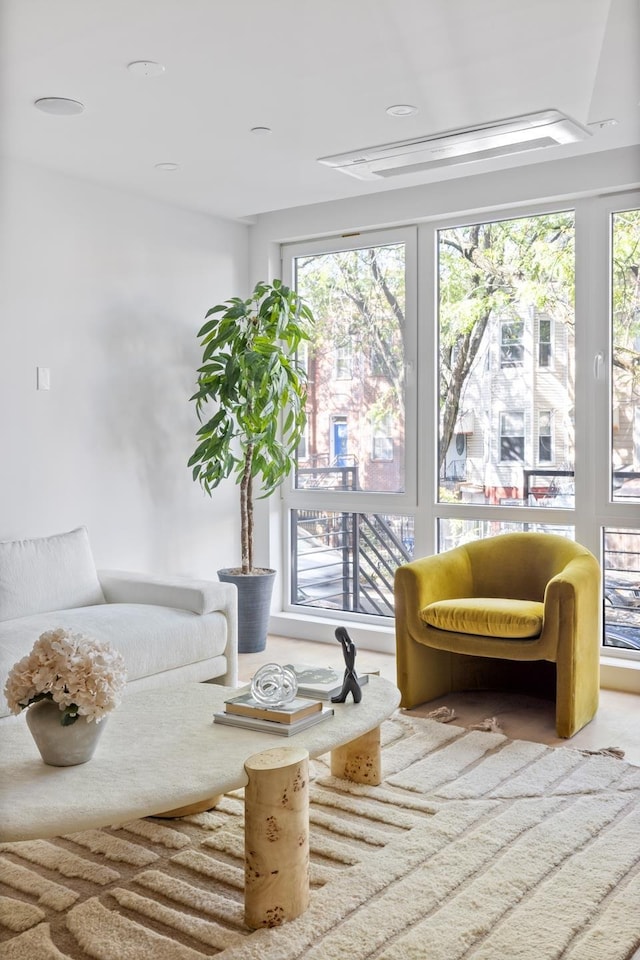 134 Weirfield St Unit 2, New York City, NY 11221 - view of living area