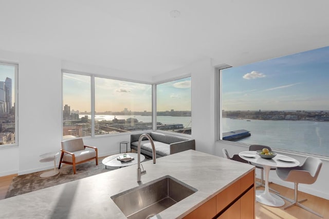 kitchen featuring a water view and sink