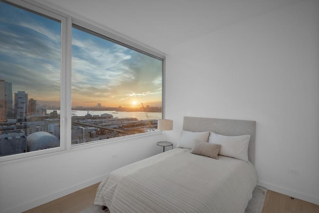 bedroom featuring a water view, wood-type flooring, and multiple windows