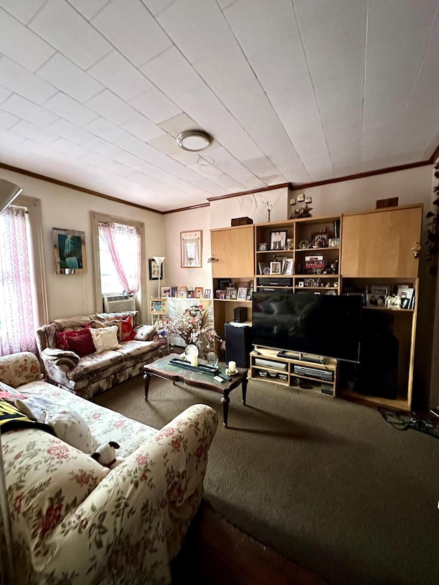 229 Nichols Ave, New York City, NY 11208 - living area with crown molding and carpet floors