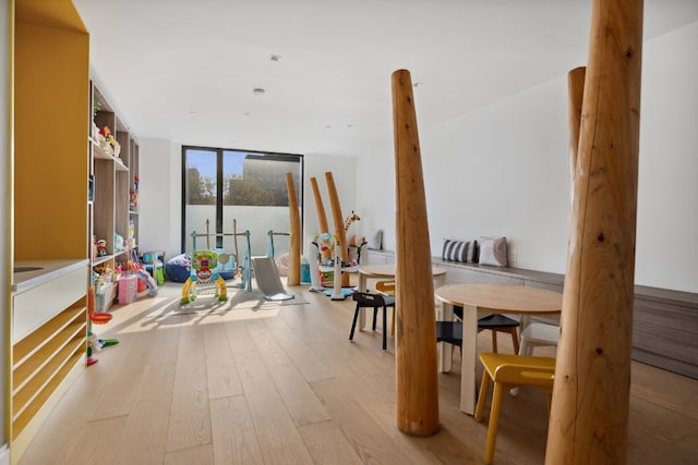 game room featuring a wall of windows and light hardwood / wood-style flooring