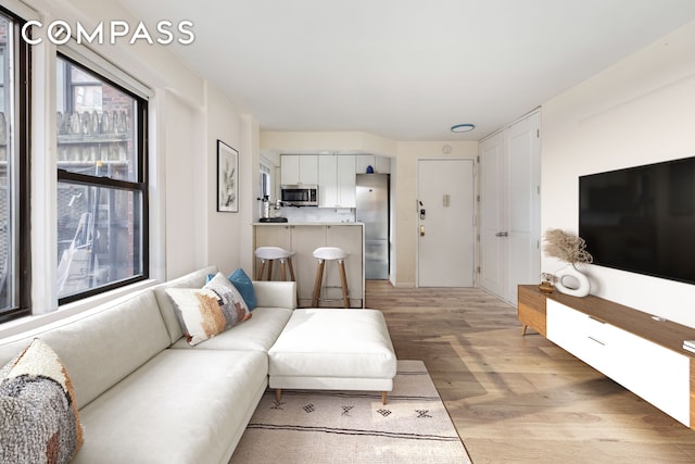245 E 24th St Unit 2L, New York City, NY 10010 - living room with light wood-type flooring