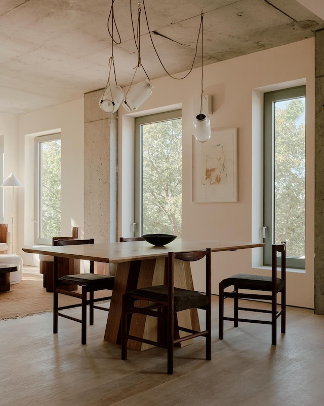 dining area with light wood-style floors and a healthy amount of sunlight