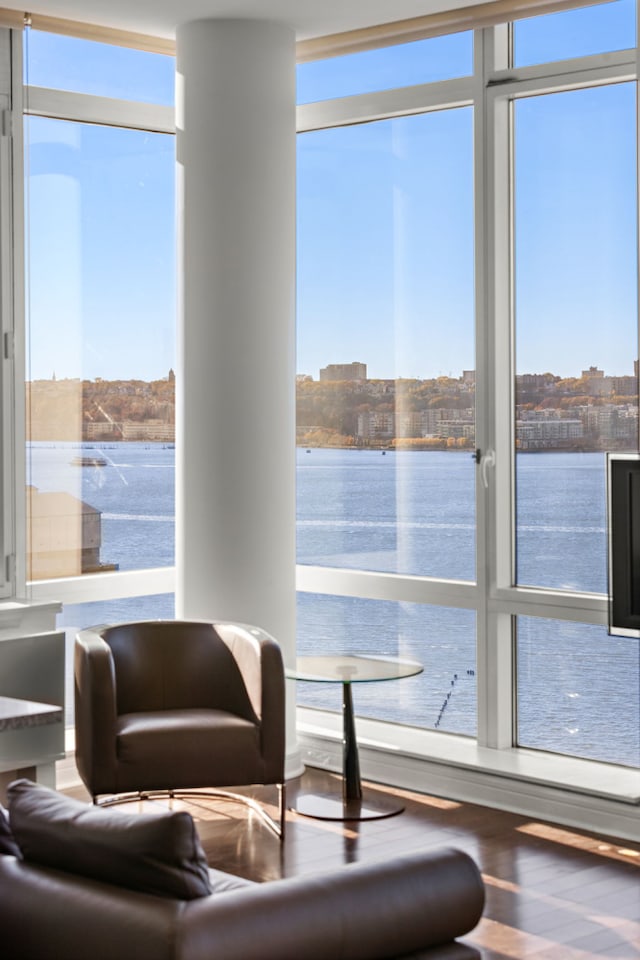 living area with healthy amount of natural light, wood finished floors, and a water view