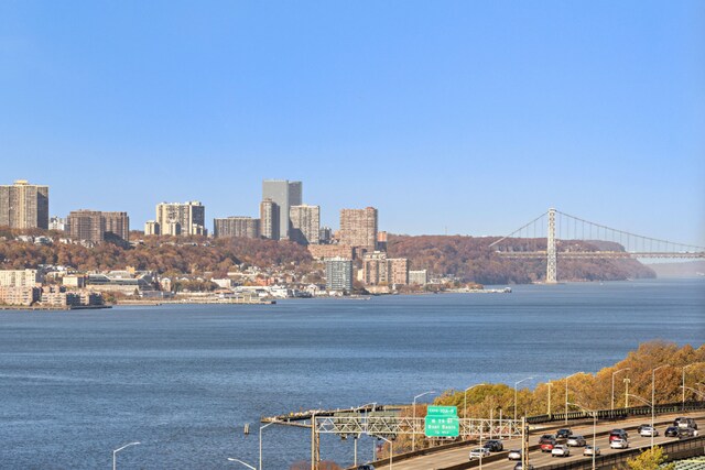 view of water feature featuring a view of city