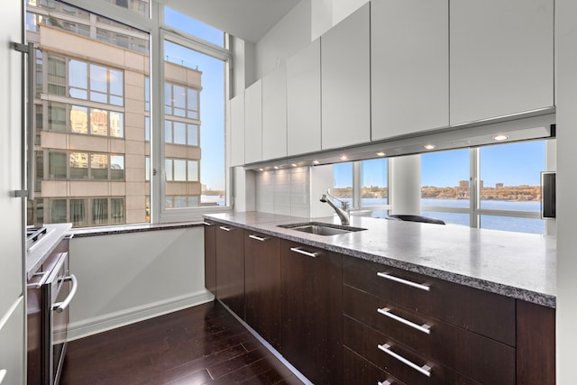 kitchen with a sink, dark wood-style flooring, white cabinetry, and dark brown cabinets