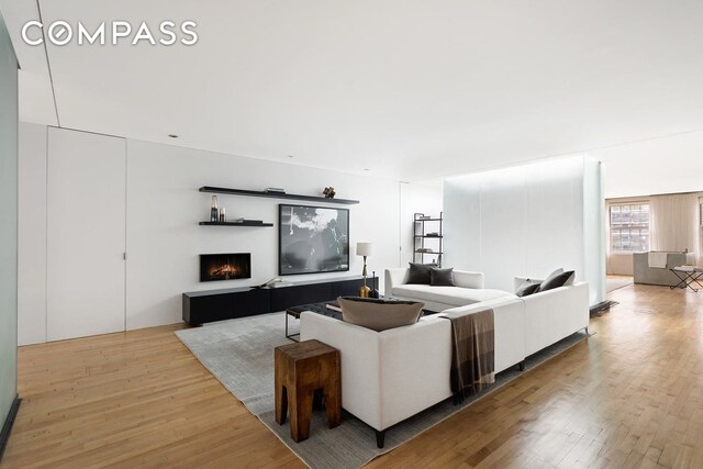 living room featuring wood-type flooring