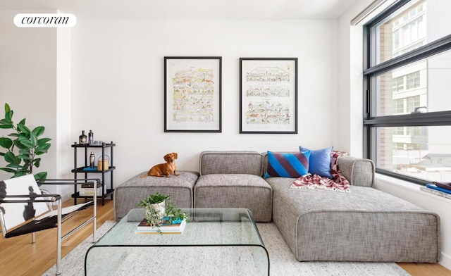 living room with hardwood / wood-style flooring