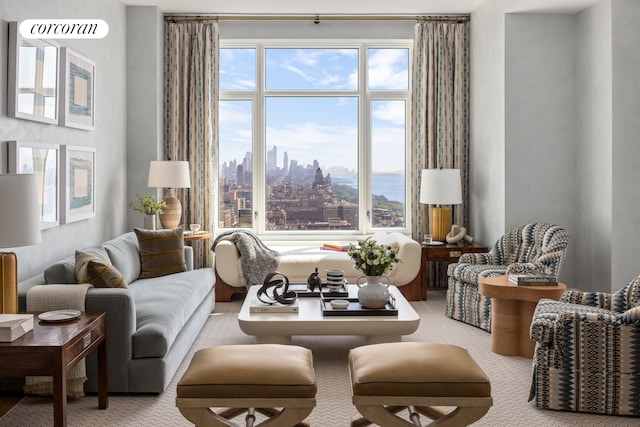 carpeted living room with a city view