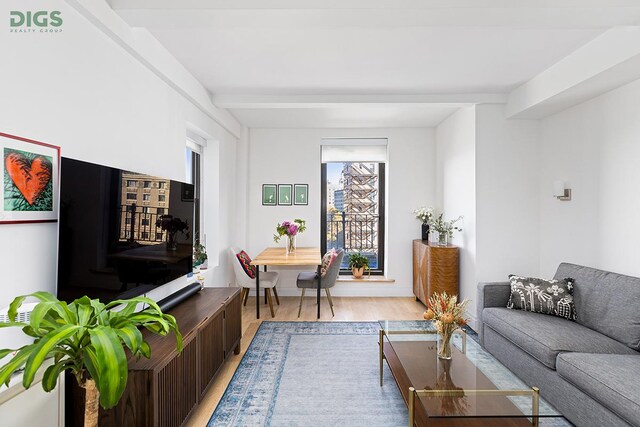 living room with light hardwood / wood-style floors