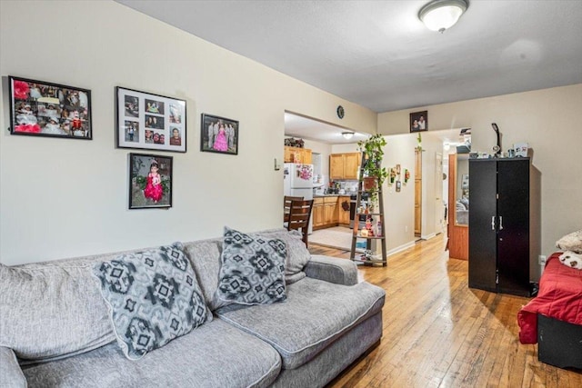 living room featuring light hardwood / wood-style flooring