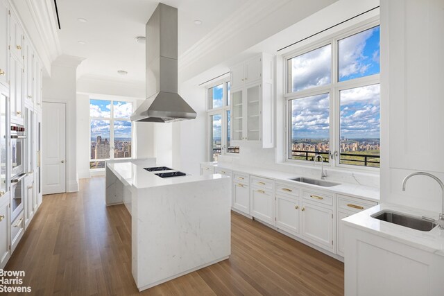 kitchen featuring a kitchen island, sink, island range hood, and white cabinets