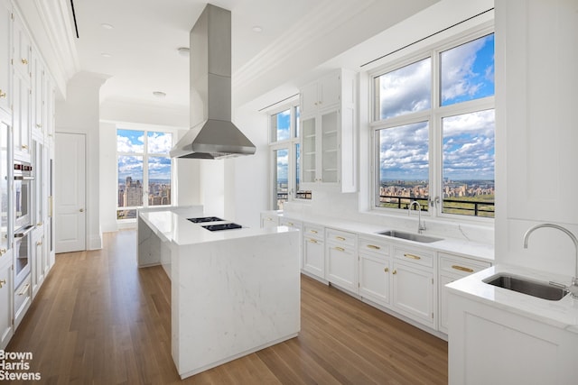 kitchen with glass insert cabinets, white cabinetry, a sink, and island exhaust hood