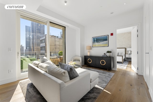 living room with light hardwood / wood-style flooring