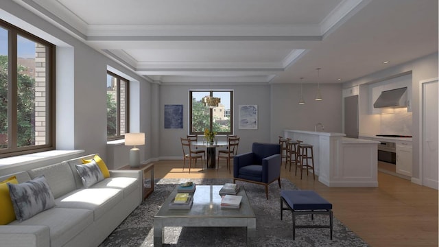 living room featuring wood-type flooring, sink, and ornamental molding