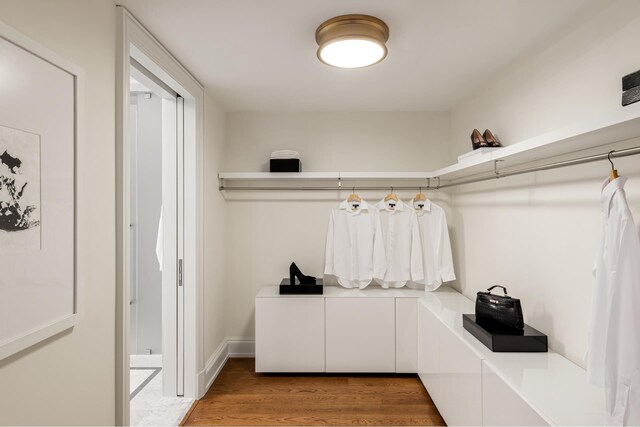 walk in closet with light wood finished floors