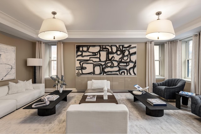 living room featuring wood finished floors, a tray ceiling, baseboards, and ornamental molding