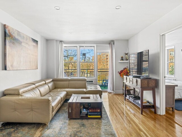 living room with wood-type flooring and a wealth of natural light