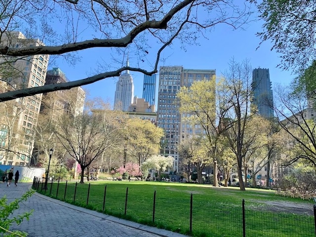 view of community with a yard