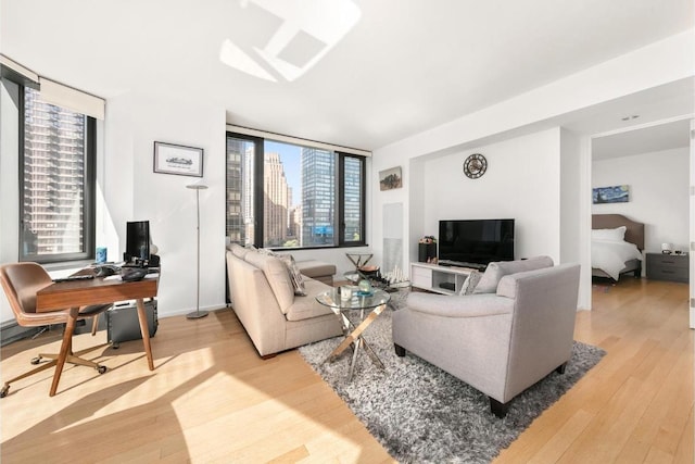 living room featuring hardwood / wood-style floors