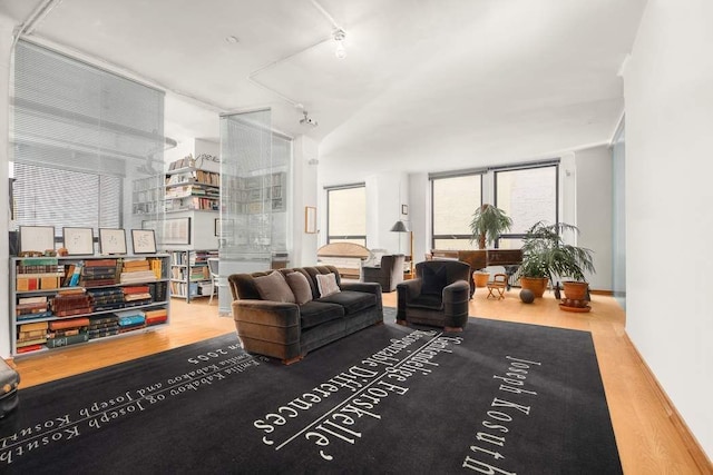 living area with a wall of windows, track lighting, and wood finished floors