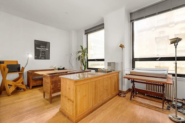 office space featuring light wood-style floors