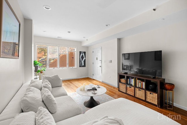 living room featuring wood-type flooring