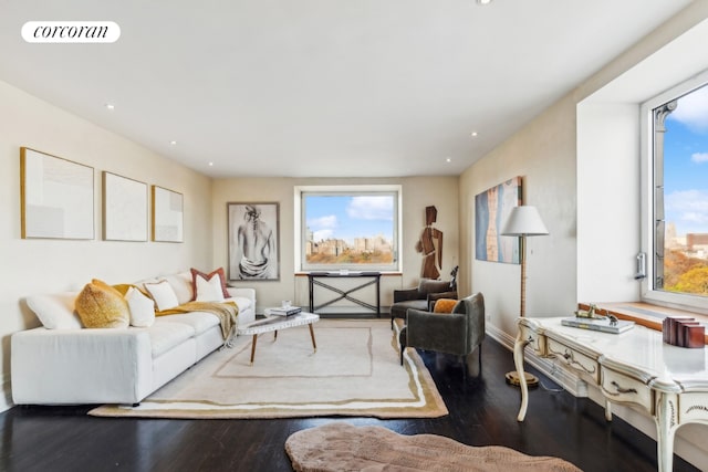 living room featuring hardwood / wood-style flooring and plenty of natural light