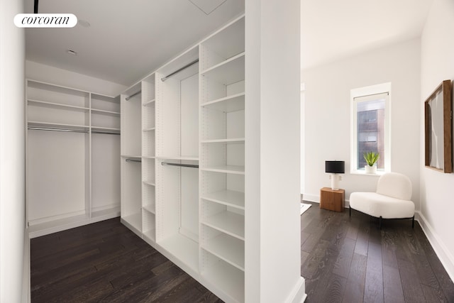 45 E 22nd St Unit 26B, New York City, NY 10010 - walk in closet featuring dark wood-style flooring