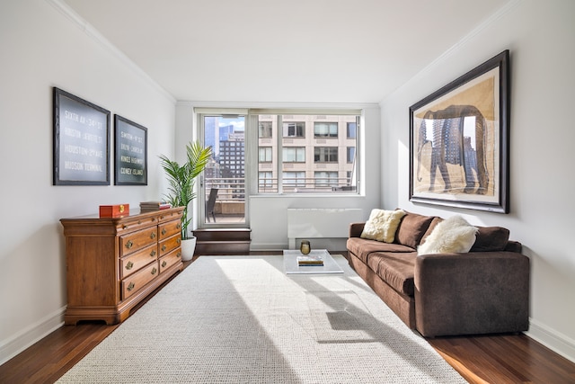 living room featuring crown molding and dark hardwood / wood-style flooring