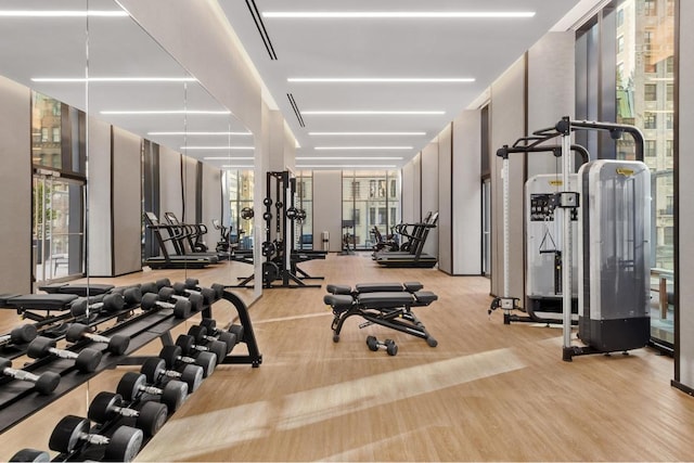 gym featuring light hardwood / wood-style floors and expansive windows