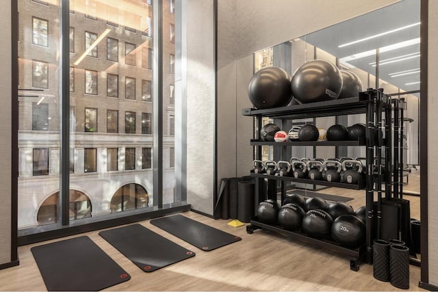 workout area featuring hardwood / wood-style flooring