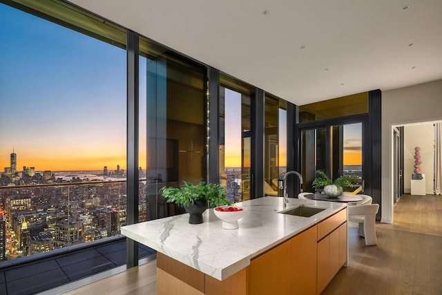 kitchen featuring floor to ceiling windows, sink, light stone counters, light wood-type flooring, and a kitchen island with sink